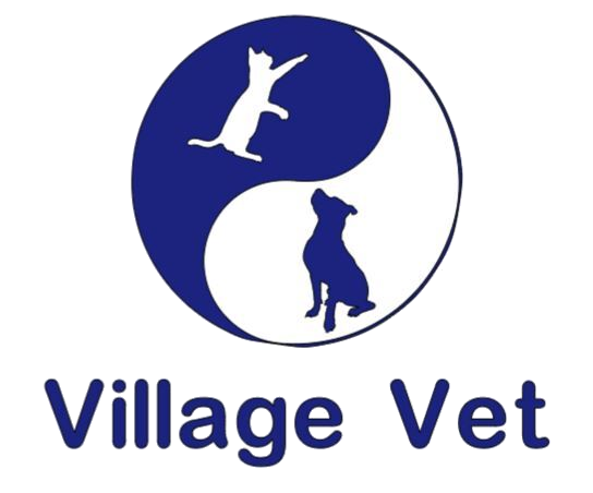Village Vet Stacked