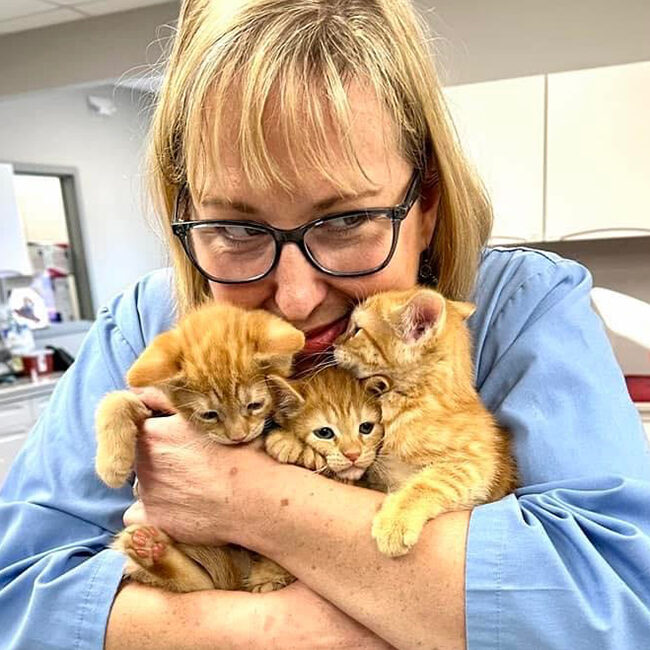 Meet Our Vets Kelly With Kittens